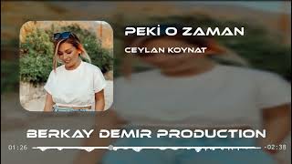 Ceylan Koynat - Peki O Zaman (Remix) W/UğurYılmaz