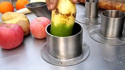 carrot white radish slice flake cutting machine cutter machine