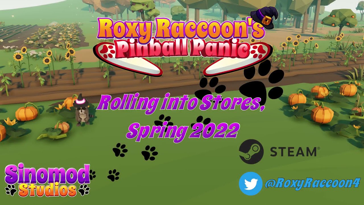 video Roxy Racoon's Pinball Panic