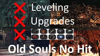 Dark Souls 2 - SL1 No Upgrades / Infusions Old Souls No Hit Run (World's First)