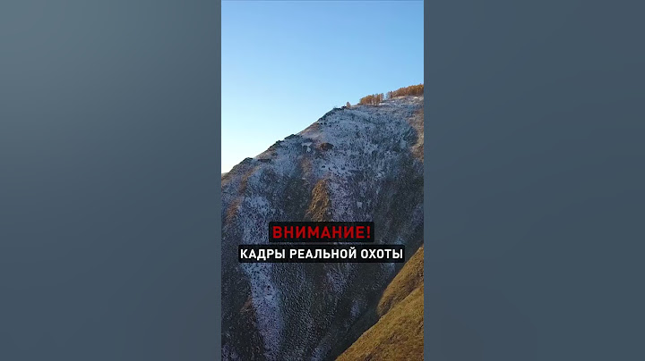 🇷🇺🏔️ ОХОТА В СИБИРИ. РЕКОРДНЫЙ ❗ ВЫСТРЕЛ НА 735 МЕТРОВ!