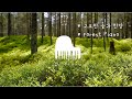 숲과찬양 | Forest Piano | Worship | Quiet Time | Pray | Christian Piano | Comfort