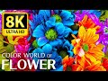 The largest flower collection in the world 8kr 60fps demo   relaxing music and nature sounds 8k