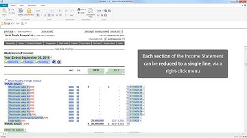 Fit to Page for your Financial Statements (CaseView Merge Pages Feature)