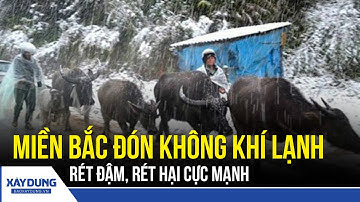 Miền Bắc rét đậm, có nơi dưới 5 độ C trong đợt không khí lạnh mới nhất | BXD