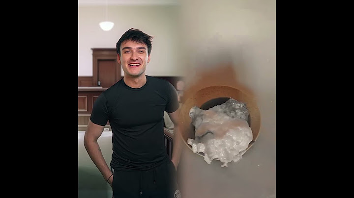 Z Kuşağı Mahkemesi 2
