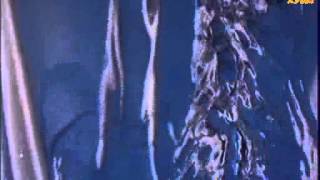 pub - Sprite - LPDM