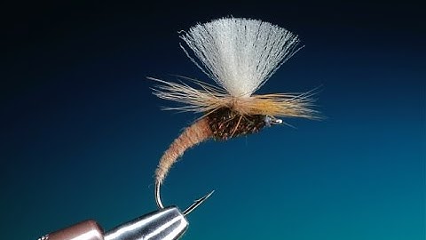Fly Tying the Klinkhamer fly with Barry Ord Clarke