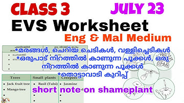 Class 3 EVS Worksheet July 23/3 rd std evs worksheet 23/7/21/Std 3 evs worksheet 23/7/21/eng & mal