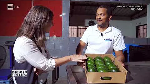 Dove si coltiva l'avocado in Italia?