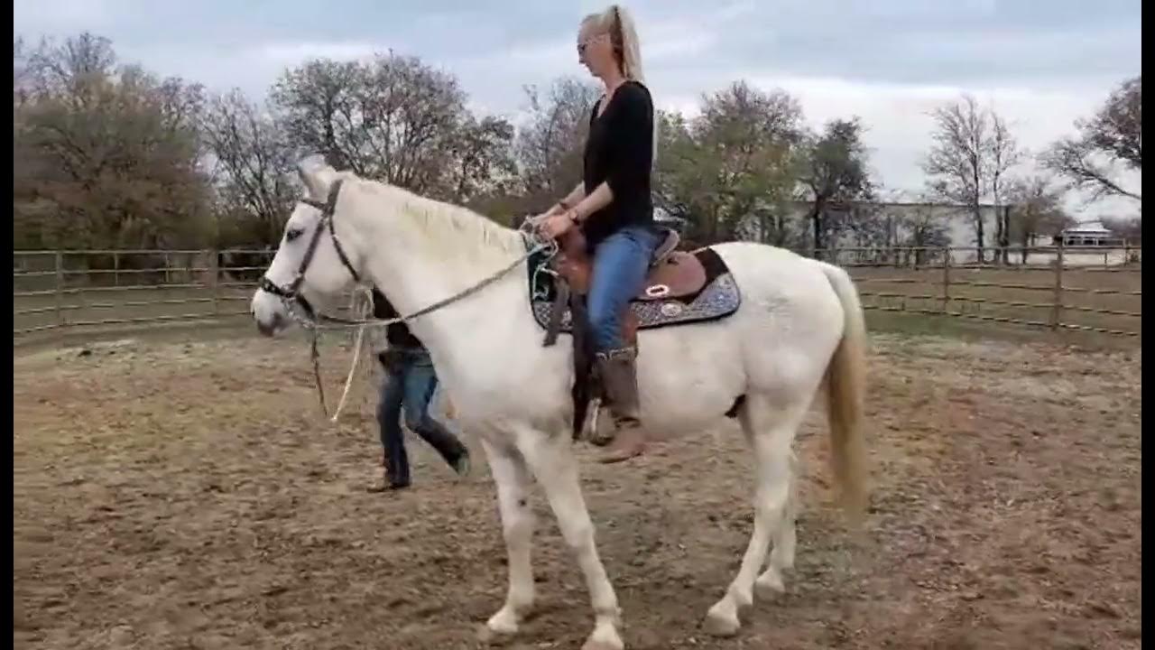 3 Riding Exercises without Stirrups on the lunge to help balance YouTube