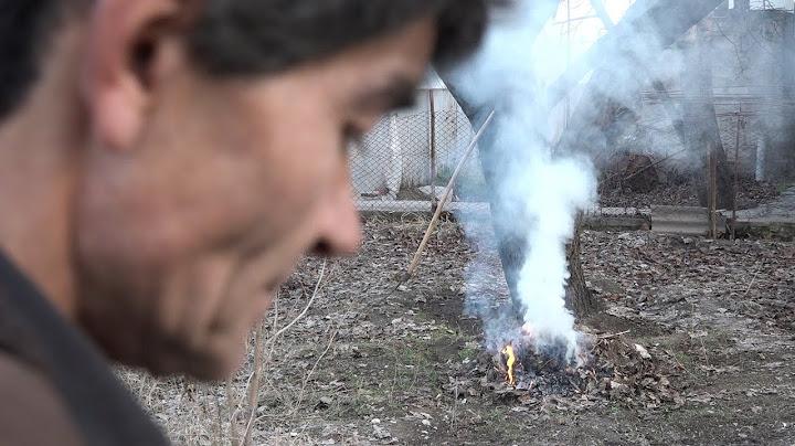 Հուսիկ Արա. Post Apocalypto