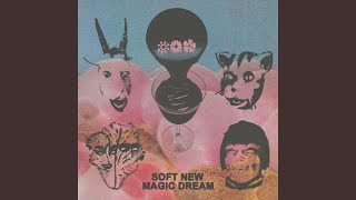 Demon's Glue - Black Moth Super Rainbow