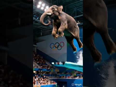 Https Www Xnxx Tv Video Re2bxe8 Www Brazzers Xxx Gift Copy And Watch Full Lisa Ann Video Dance 