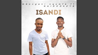 ISANDI