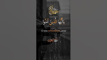 ﷺ تلاوة خاشعة |﴿ إِنَّ اللَّهَ وَمَلَائِكَتَهُ يُصَلُّونَ ... ﴾ #خالد_الجليل 🎧🕋 #قرآن #funny