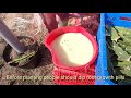Middle of video