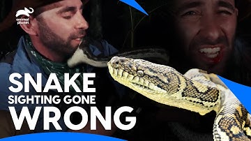 BIG Python Attack on Coyote Peterson Face | Angry Python Snake🐍| चेहरे पर सांप का घातक हमला😲