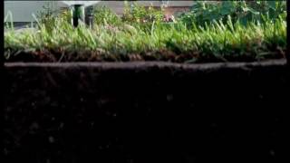 Sf Australia - Resident Evil Apocalypse Resident Evil Extinction Movie Promo 2012