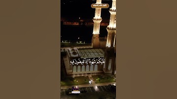 تلاوة صباحية خاشعة وهادئة من القرآن الكريم