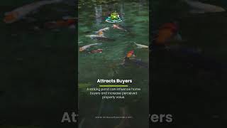 Why Koi Ponds Add Value to Your Home