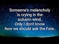 Someone's Melancholy Is Crying (English Lyrics)| ❤ Vitas |❤ Плачет чужая тоска