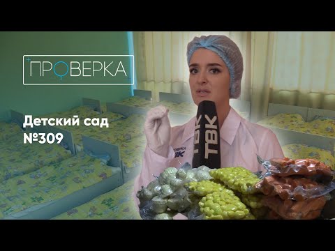 Детский сад №309