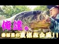 俺達。 秦拓馬の夏休み企画‼ 真夏のリザーバー攻略 ・ジャッカル
