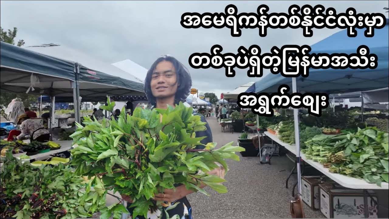 အမေရိကန်နိုင်ငံမှာတစ်ခုတည်းရှိတဲ့မြန်မာအသီးအရွှက်စျေးကိုသွားမယ်