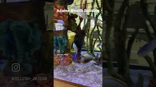 New Building in Logan UT. Cache Valley is growing with some amazing businesses!