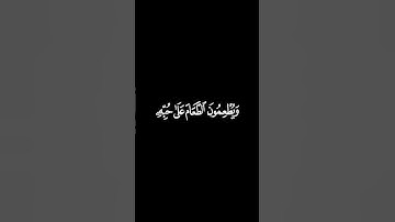 قرآن كريم 🌿 نشوان غالب