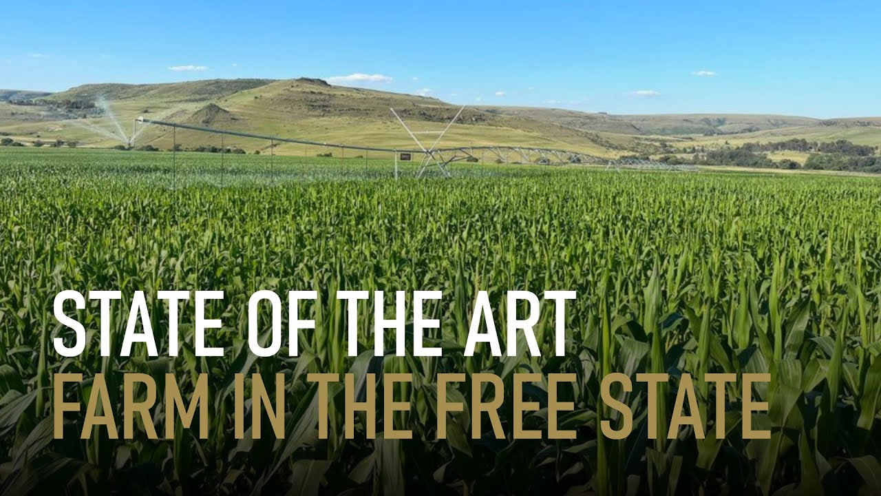 12642Ha livestock farm