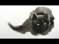 Tutoriel aquarelle chat noir  technique wet in wet