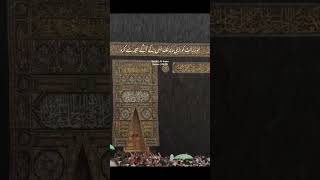 4. 🕋 Surah Al-Insan | Who are we without Allah? 💫 Listen, reflect, InshaAllah#Islam #Surah76