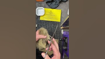 Live-hoogtepunt van Sharpening Pet Grooming Shears