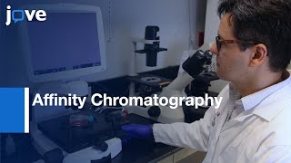 PIs Interacting Proteins Identification by Affinity Chromatography | Protocol Preview