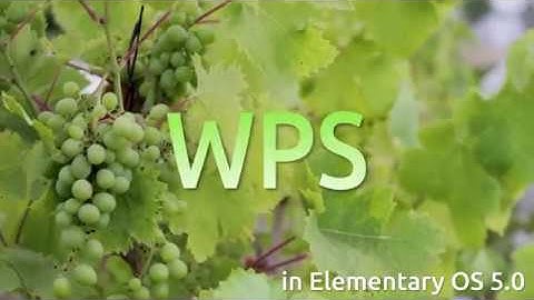 How to install WPS Office 2016 on Elementary OS 5.0 Juno