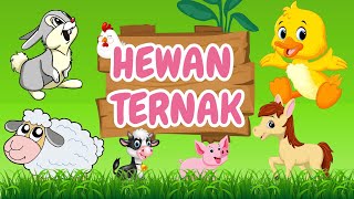 Belajar Mengenal Hewan Ternak dan Manfaatnya untuk Kehidupan