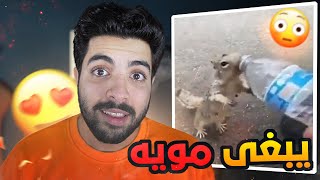 حيوانات طلبت مساعدة من الانسان | كأنها بشر  !!