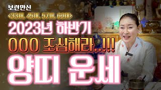 2023년 하반기 OO만 조심하면 양띠는 대박이여~(33세, 45세, 57세, 69세)(창원점집)(보련만신)…