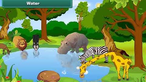 Class 2 EVS   our earth