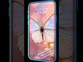 Dreamy Pastel Butterfly