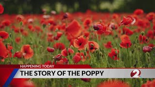 The poppy and Memorial Day: What is the story behind the familiar remembrance flower?