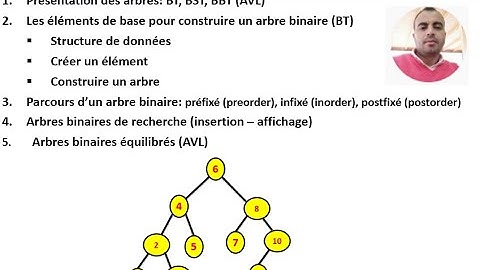 Naji-Arbres binaires, Arbres binaires de recherche, affichage récursif + insertion