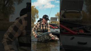 Missing the Montana Send, I think it’s time to get started on the feature film. #fishing #shorts