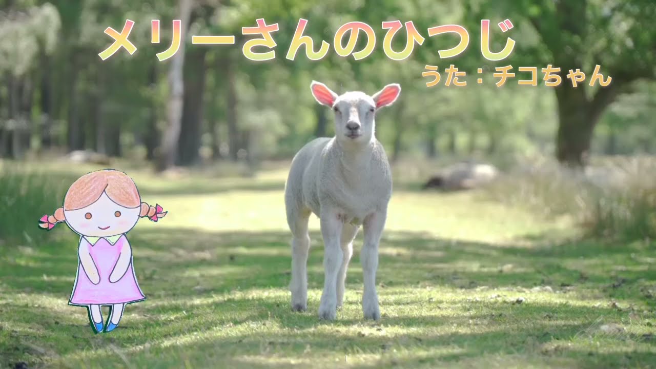 童謡】メリーさんのひつじ 歌詞付き 簡単で覚えやすい歌 - YouTube