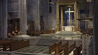 Sixteenth Sunday in Ordinary Time 7-19-26
