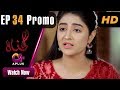 Watch Gunnah - Episode 34 Promo | Aplus Dramas | Sara Elahi, Shamoon Abbasi, Asad Malik | Pakistani Drama Online In HD