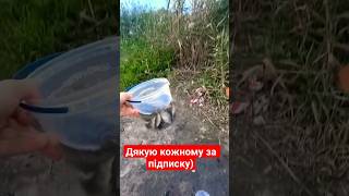 рыбалка на карася на поплавок на опарыша на червя в Одессе) #fishing #рыбалка #carpfishing #юмор
