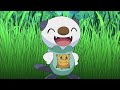 UK: Oshawott's lost scalchop | Pokémon the Series: Black & White | Official Clip